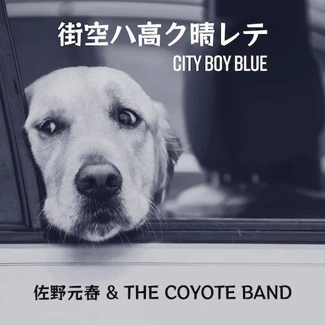 XnNe - CITY BOY BLUE(2021)